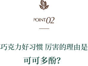 POINT02 巧克力好习惯 厉害的理由是可可多酚？