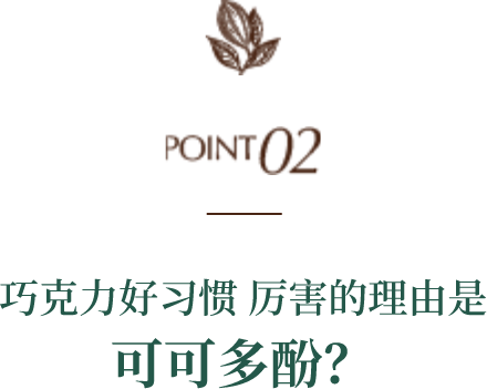 POINT02 巧克力好习惯 厉害的理由是可可多酚？